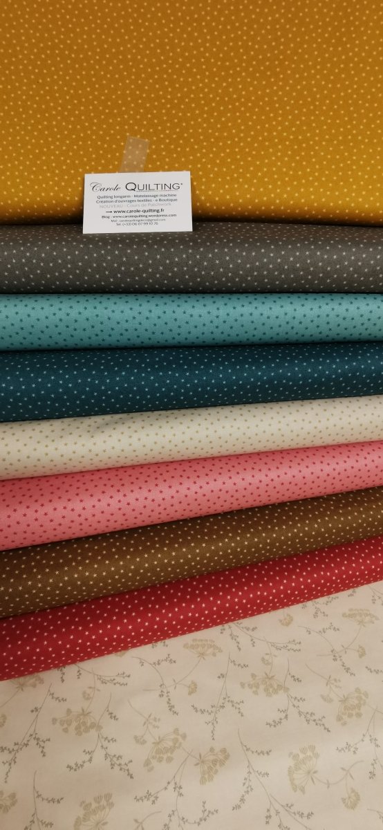 Aegean - A - 1234_T "Twinkle" Edyta Sitar Andover - Carole Quilting