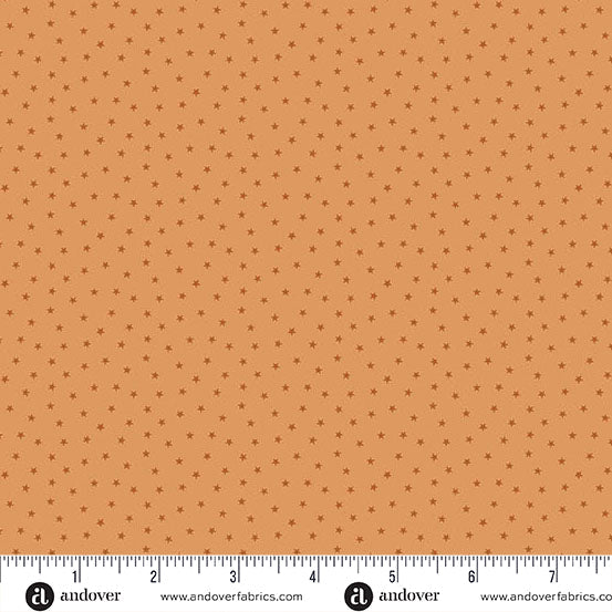 Coral A - 1234 - O1 "Twinkle" Edyta Sitar - Carole Quilting