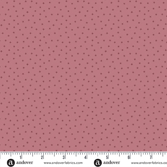Primrose - A - 1234 - E3 "Twinkle" Edyta Sitar - Carole Quilting