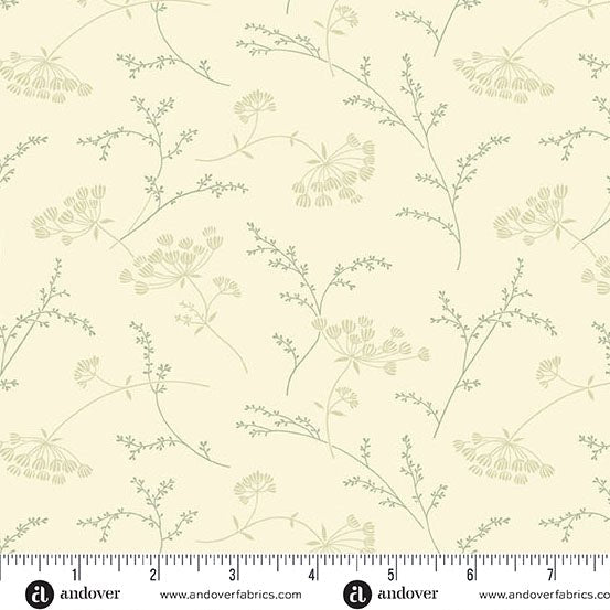 Spearmint_Queen_Anne_Lace_A - 1297 - LG "Pebbles" Edyta Sitar Andover - Carole Quilting