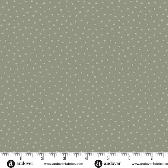 Stone - A - 1234 - LC "Twinkle" Edyta Sitar Andover - Carole Quilting