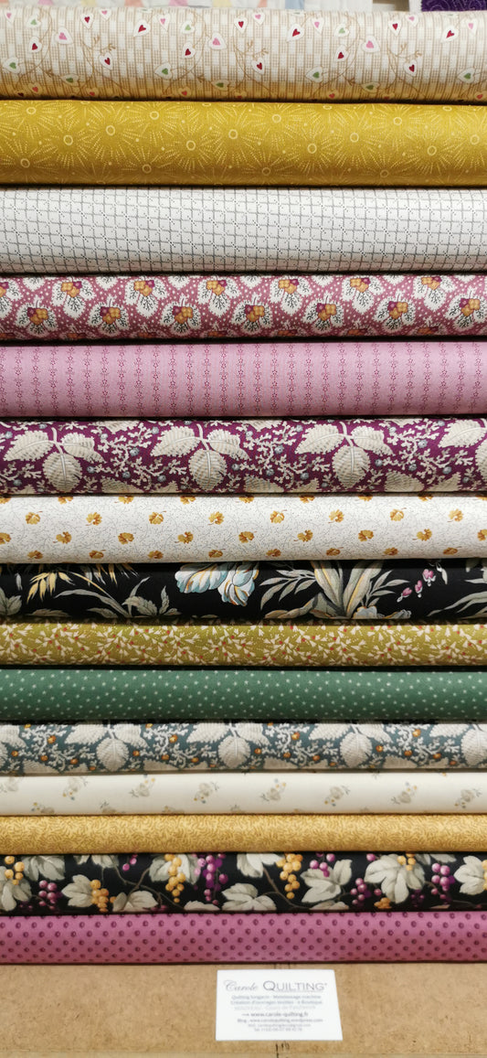 Kit "Trip Around the World" tissus English Garden - modèle Edyta Sitar