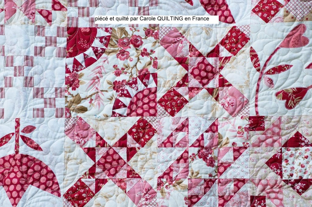 Collection Strawberries and Cream – Edyta Sitar - Carole Quilting