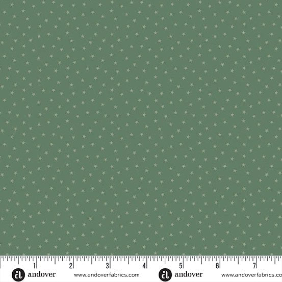 Forest A - 1234 - G1 "Twinkle" Edyta Sitar Andover - Carole Quilting
