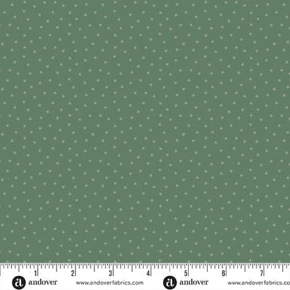 Forest A - 1234 - G1 "Twinkle" Edyta Sitar Andover - Carole Quilting