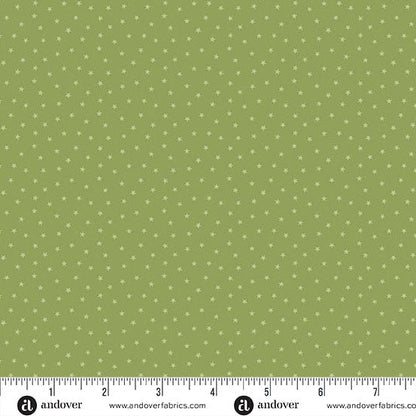 Green A - 1234 - G "Twinkle" Edyta Sitar - Carole Quilting