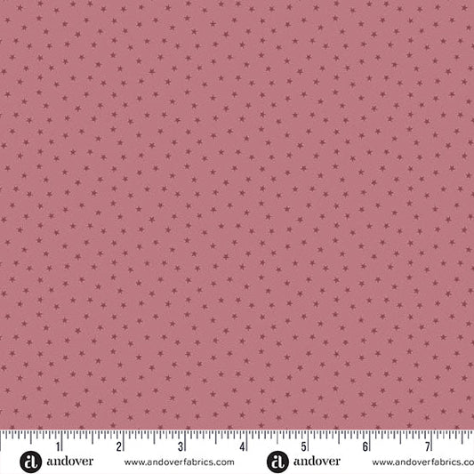 Primrose - A - 1234 - E3 "Twinkle" Edyta Sitar - Carole Quilting
