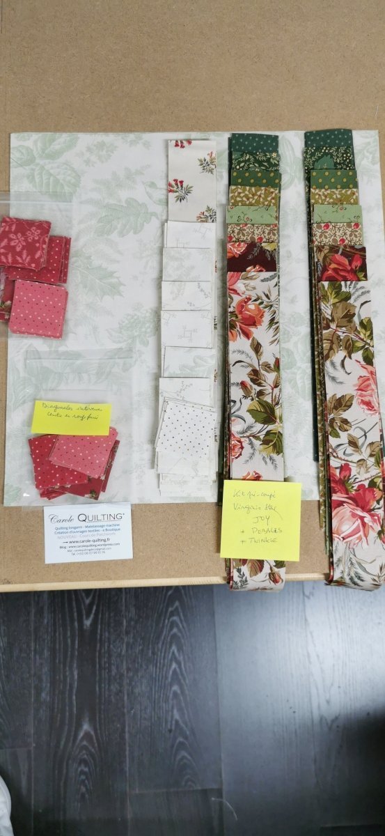Virginia Star "Joy, Pebbles, Twinkle" - Kit pré - coupé - modèle Edyta Sitar - Carole Quilting